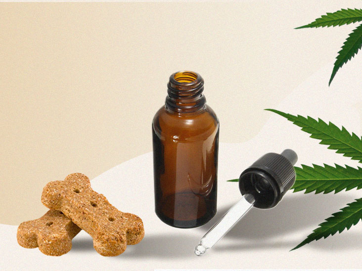 THE BEST WAY TO ADMINISTER CBD OIL TO YOUR DOG